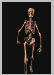 Walking Skeleton