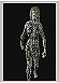 Walking Wireframe Woman